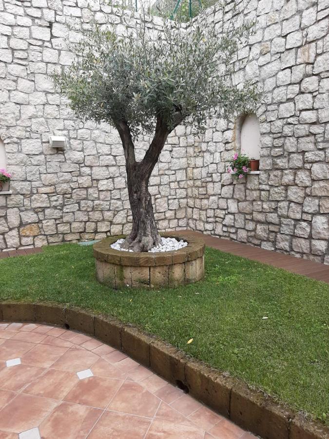 Bmp Apartment Deluxe 1 Jacuzzi Riscaldata Privata Vista Lago Di Garda Brenzone sul Garda Eksteriør billede